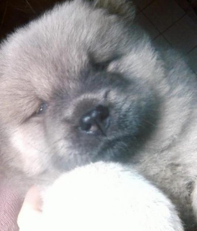 sonhando!!!(ZzZz..ZZ)