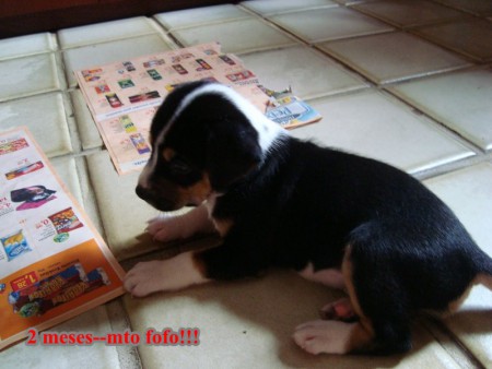 Spack bem pequeno!!!