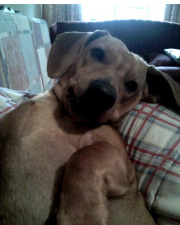 Lindo de morrer!!