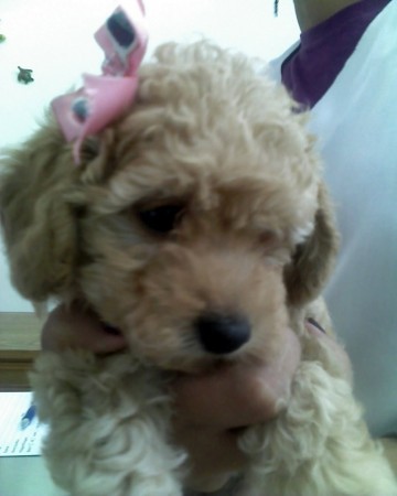 Eu sei q sou linda!!