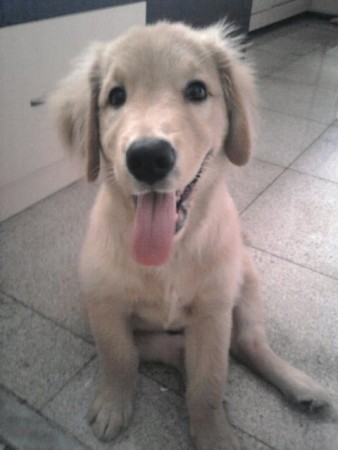 Guga é mto lindoh!!!